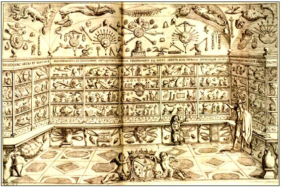 From Conquest to Care: Rethinking the Cabinet of Curiosities